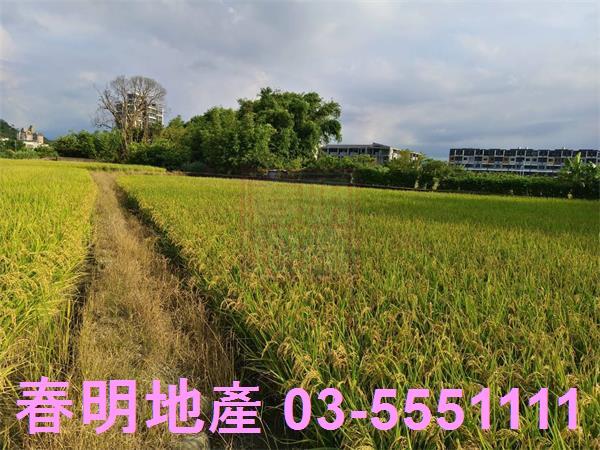 芎林農地-14