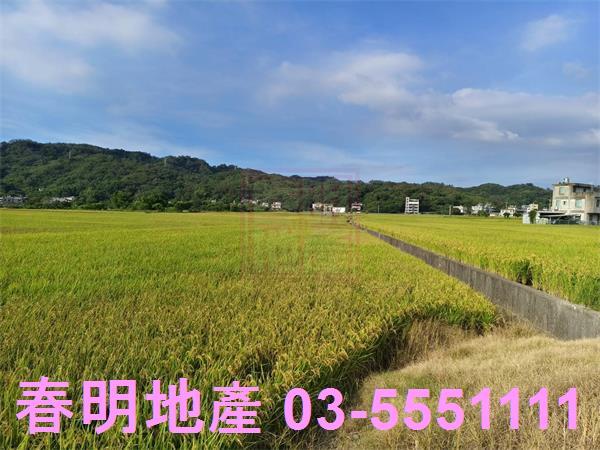 芎林農地-2