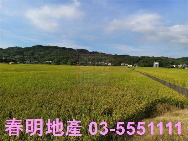 芎林農地-6