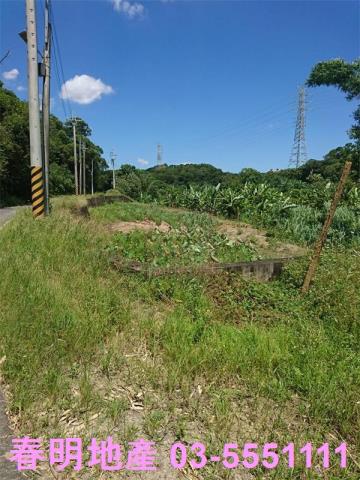 香山農地-10