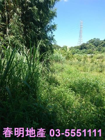 香山農地-1