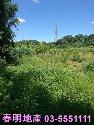 香山農地-2