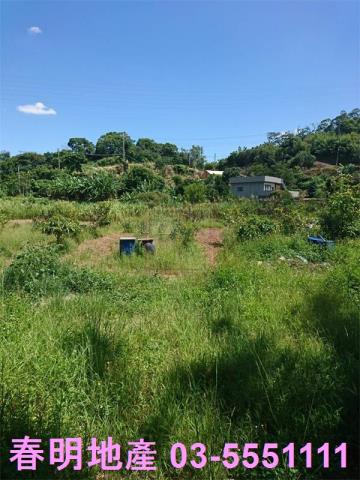 香山農地-6