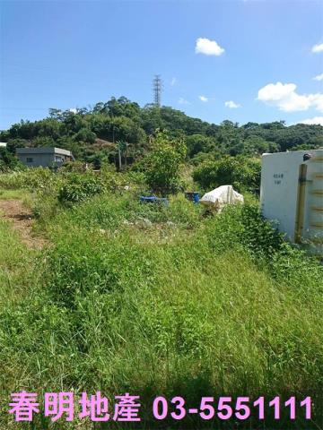 香山農地-8