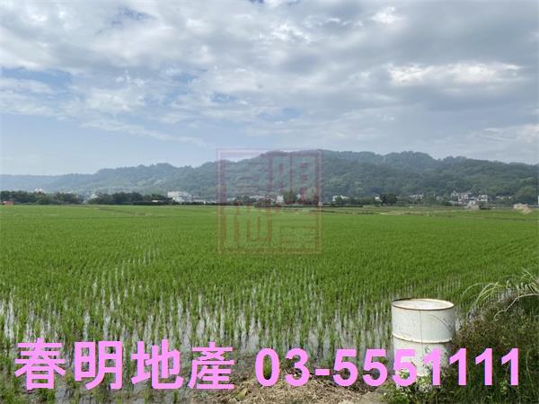 芎林農地-4