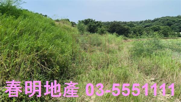 香山農地-1