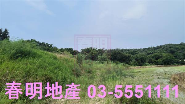 香山農地-2