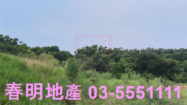 香山農地-3