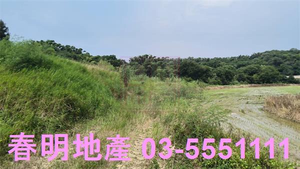 香山農地-4