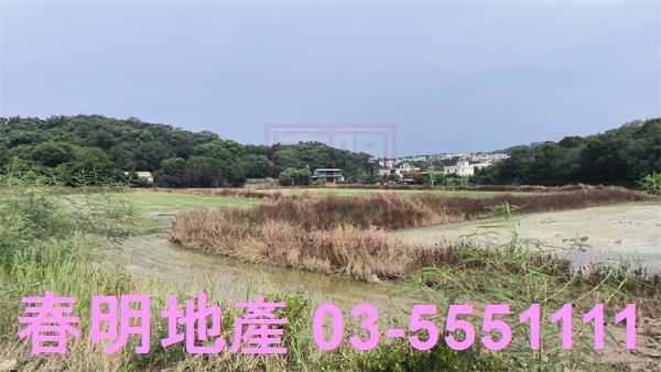 香山農地-5