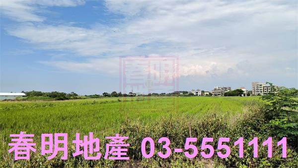 新豐農地-0