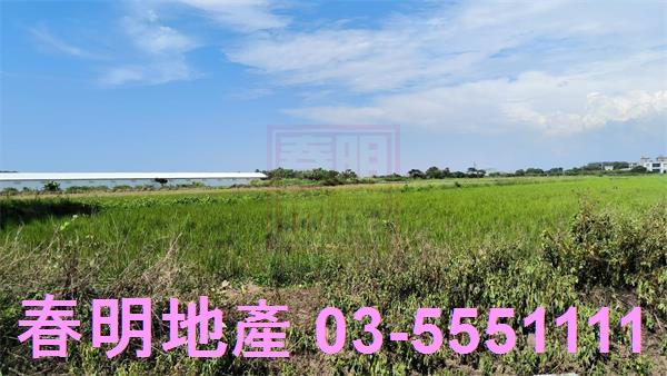 新豐農地-2