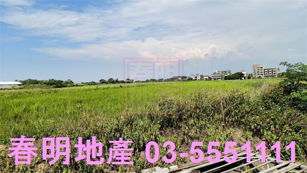 新豐農地-4