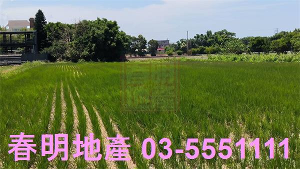 竹北農地-0
