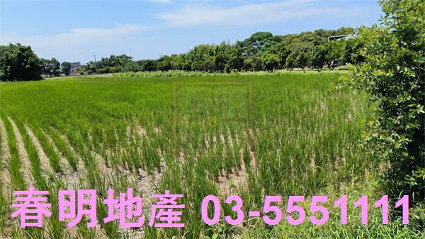 竹北農地-2