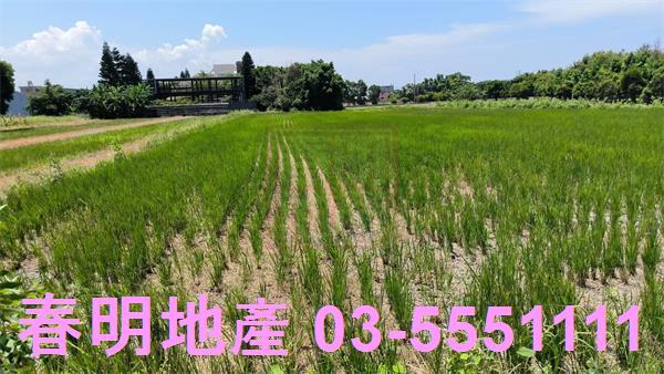 竹北農地-4