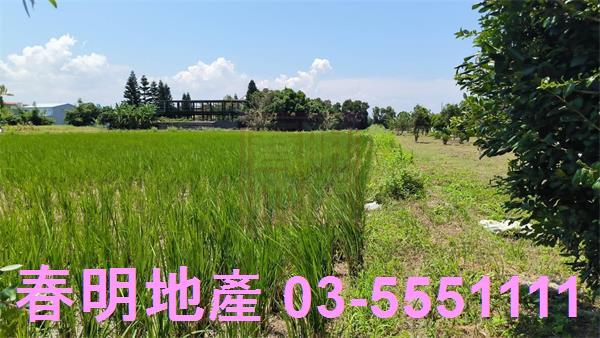 竹北農地-6