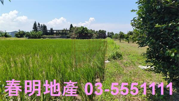 竹北農地-7