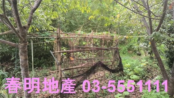 新竹農地-1
