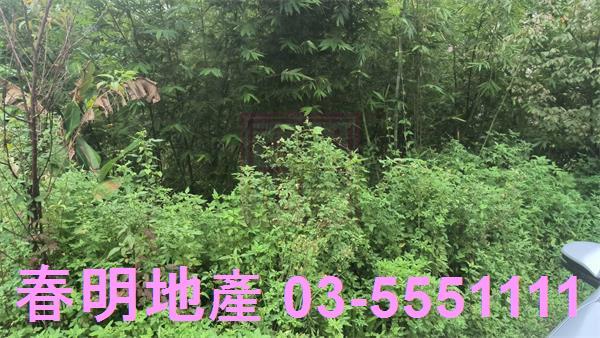 新竹農地-5