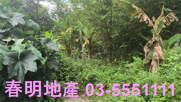 新竹農地-6