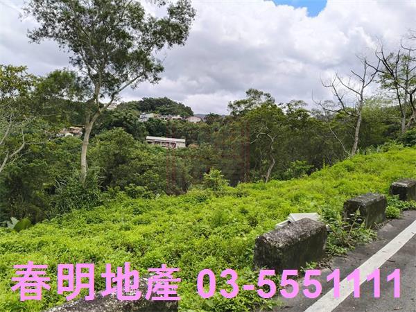 北埔農地-2