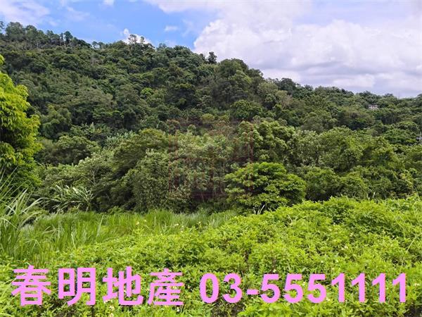 北埔農地-3