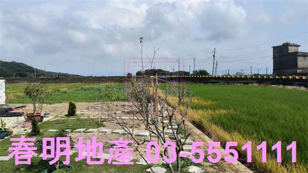 竹北農地-4