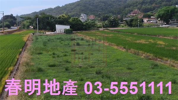 竹北農地-6