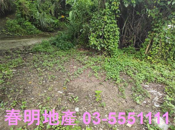 新竹農地-11