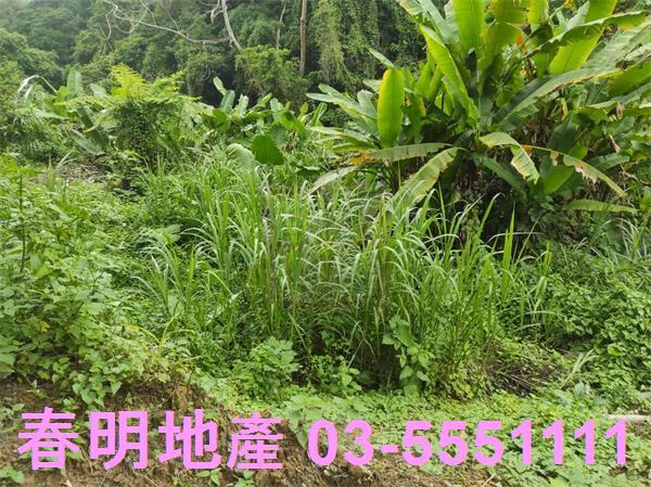 新竹農地-12