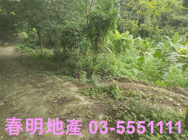 新竹農地-1