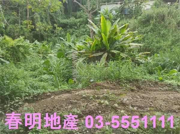 新竹農地-3