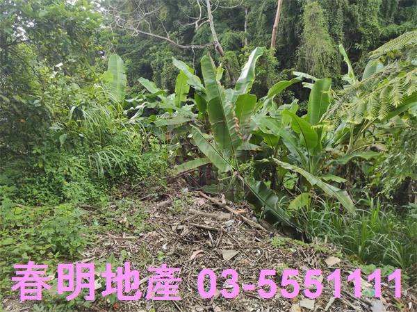 新竹農地-7