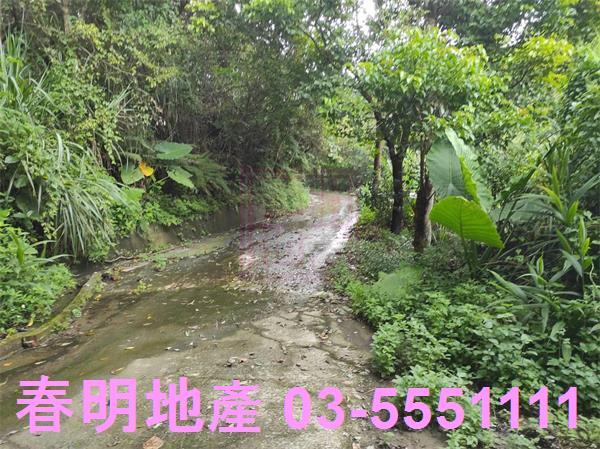 新竹農地-8