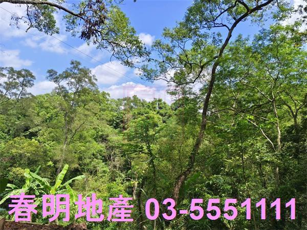 新竹橫山農地-13