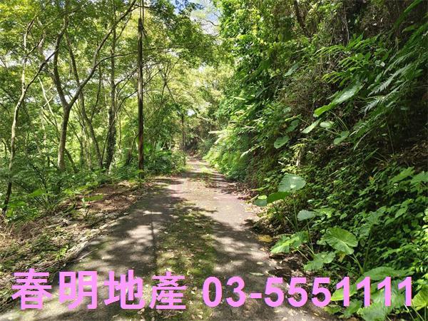 新竹橫山農地-5