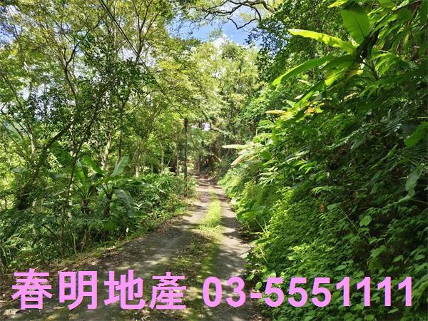新竹橫山農地-6