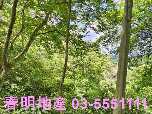 新竹橫山農地-7