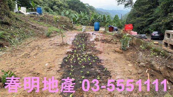 新竹芎林農地-0