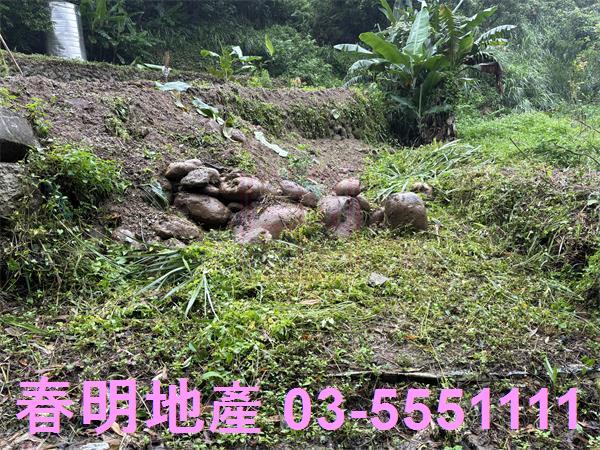 新竹芎林農地-2