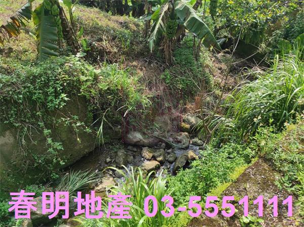 橫山農地-2