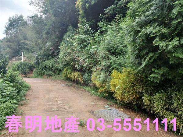 新竹芎林農地-1