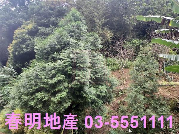 新竹芎林農地-2