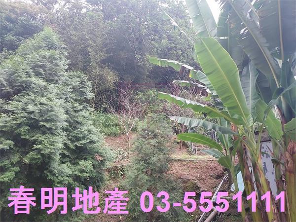 新竹芎林農地-3