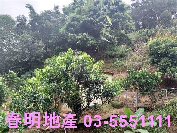 新竹芎林農地-6