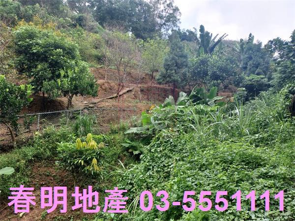 新竹芎林農地-8