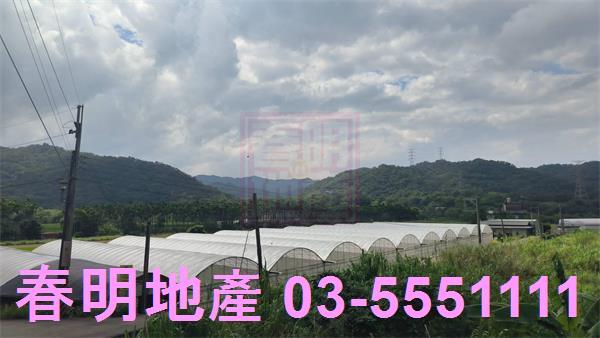 新竹關西建地-1