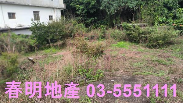 新竹關西建地-5