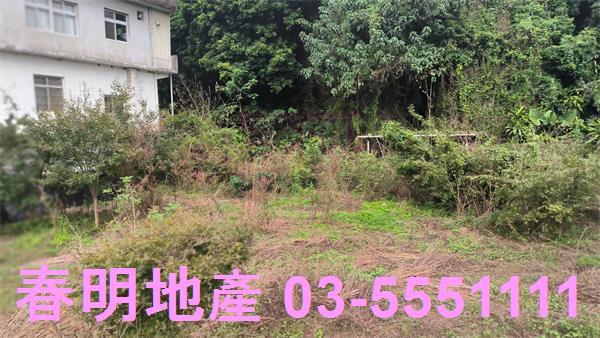 新竹關西建地-6